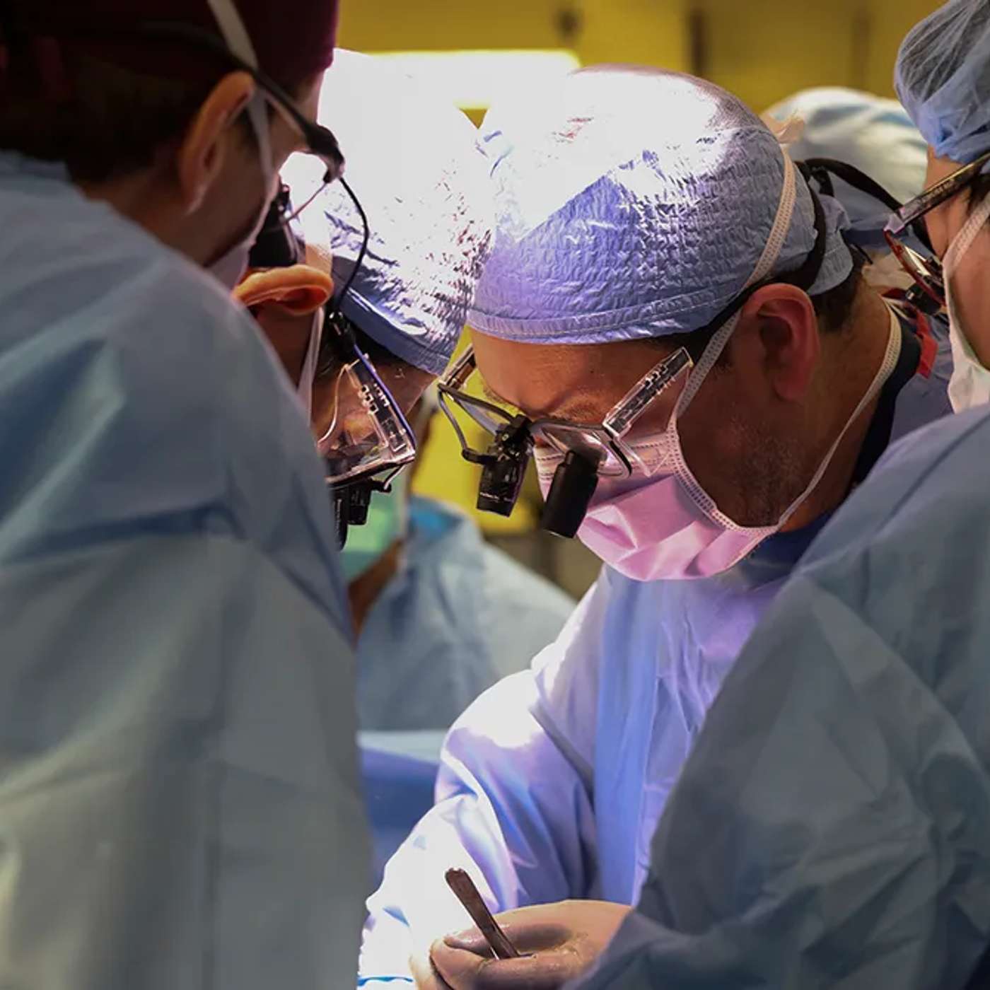 Rare Aurora Spectacle, New Omicron Subvariant in Maharashtra, Pioneer of Pig Kidney Transplant Dies, Wegovy's Heart Benefits, and more...