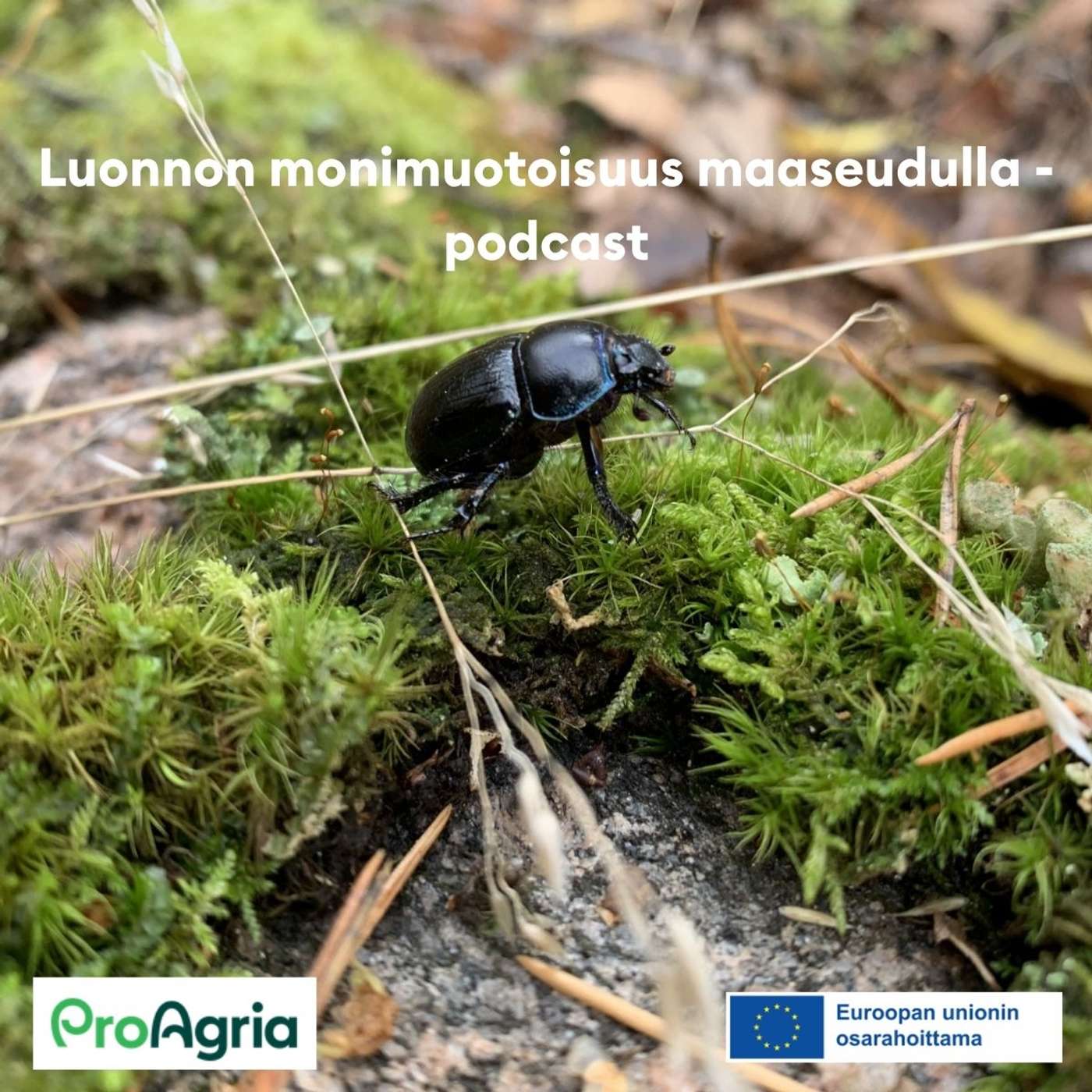 Luonnon monimuotoisuus maaseudulla