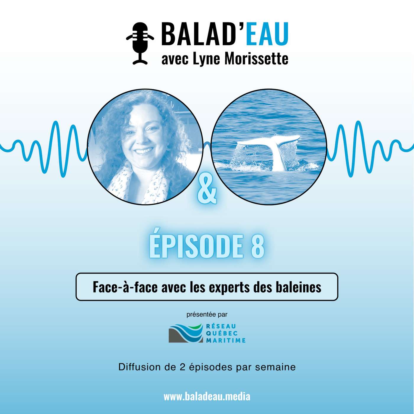Vignette de l’épisode Face-à-face avec les experts des baleines