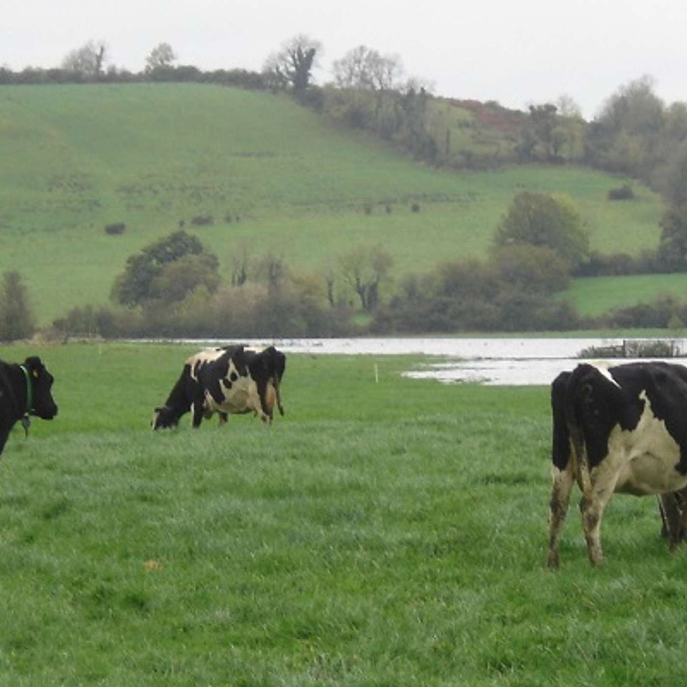 March Management Tips with John Maher and Mike Bermingham