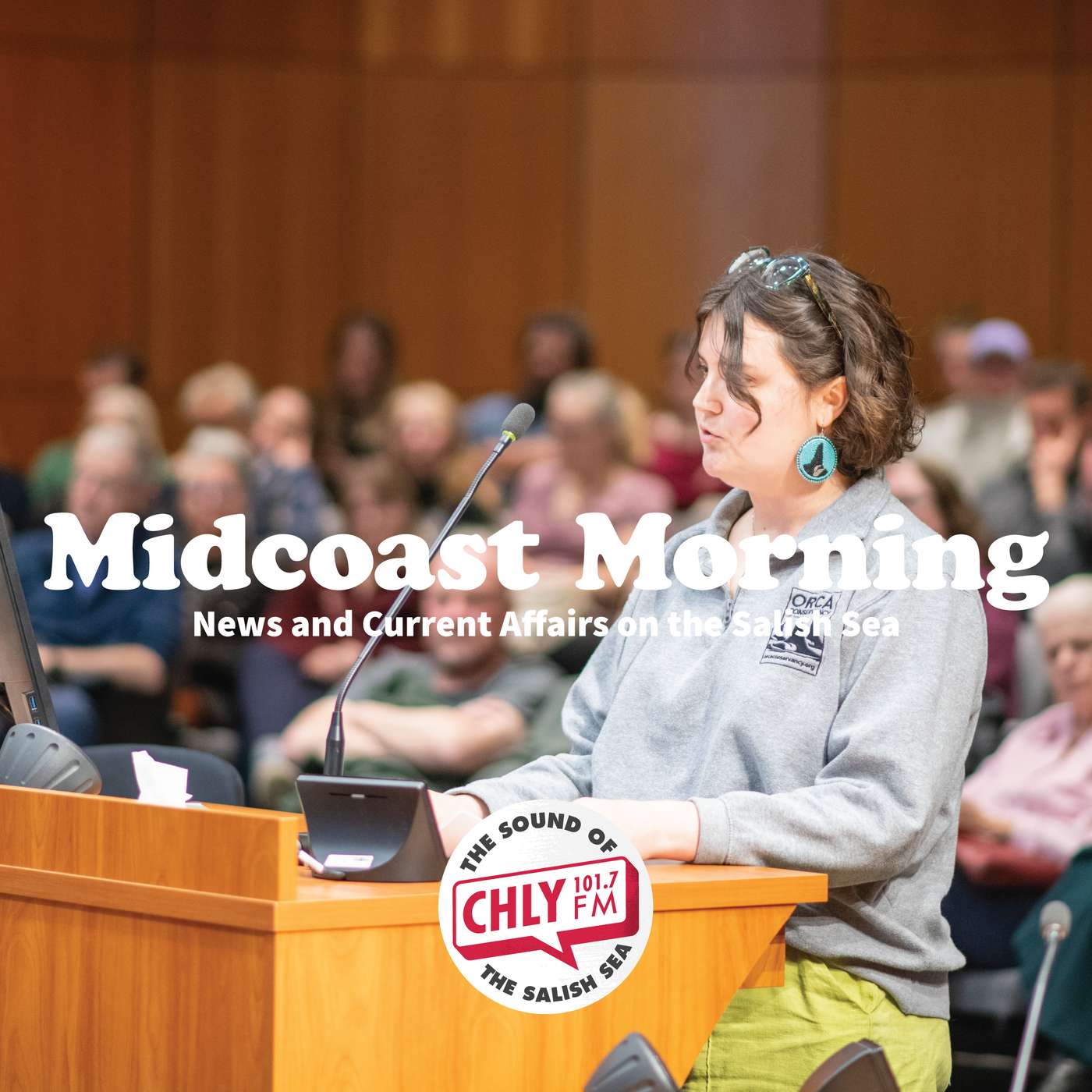 Excerpts from Cable Bay public hearing episode artwork