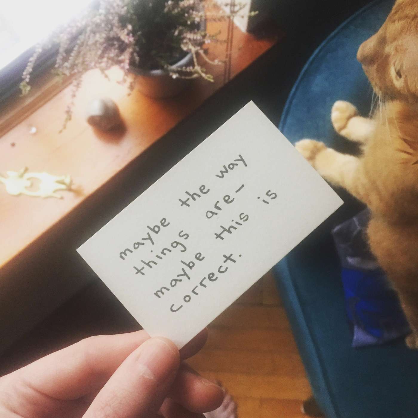 Episode 77: What It Really Feels Like