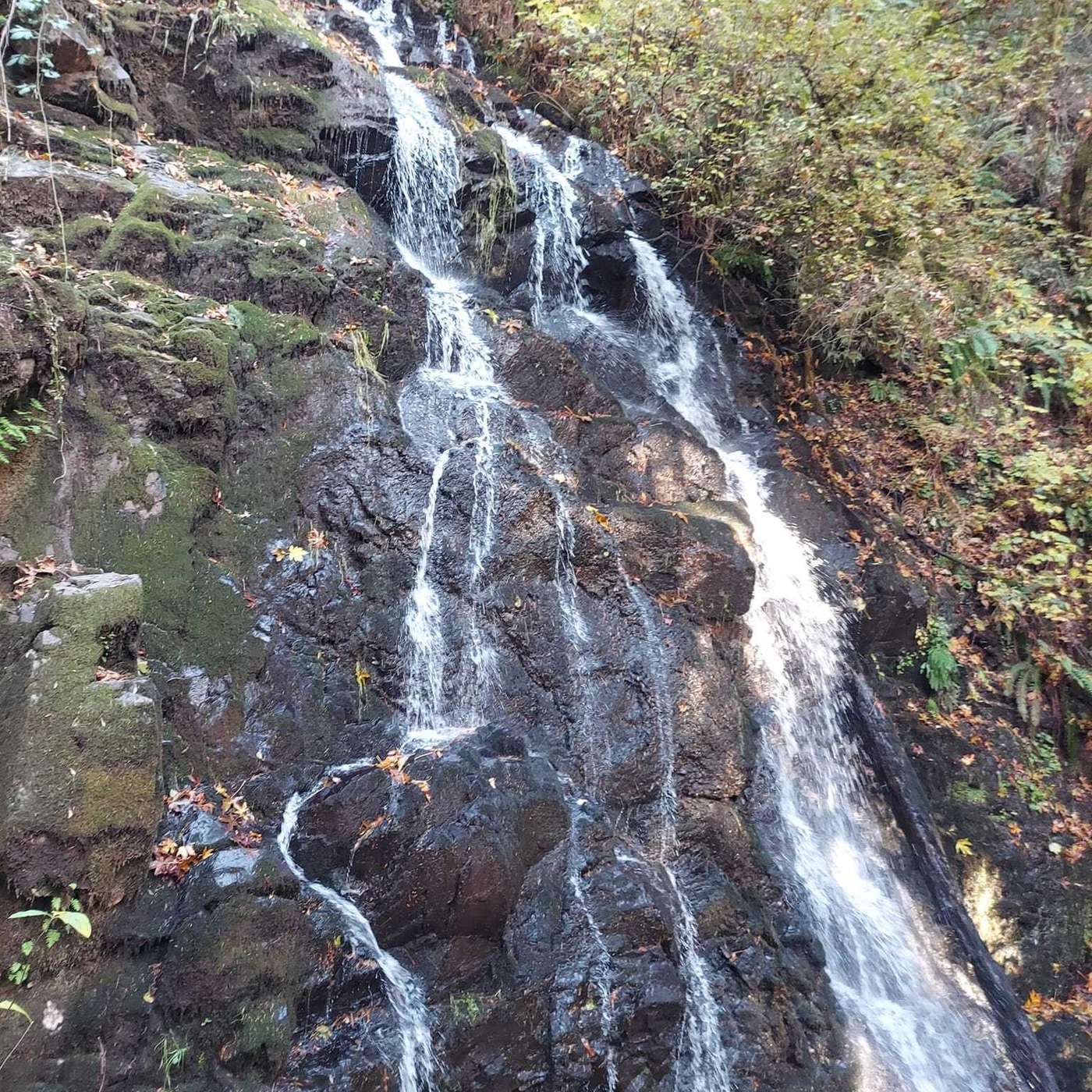 Kickin\' Cancer Cares