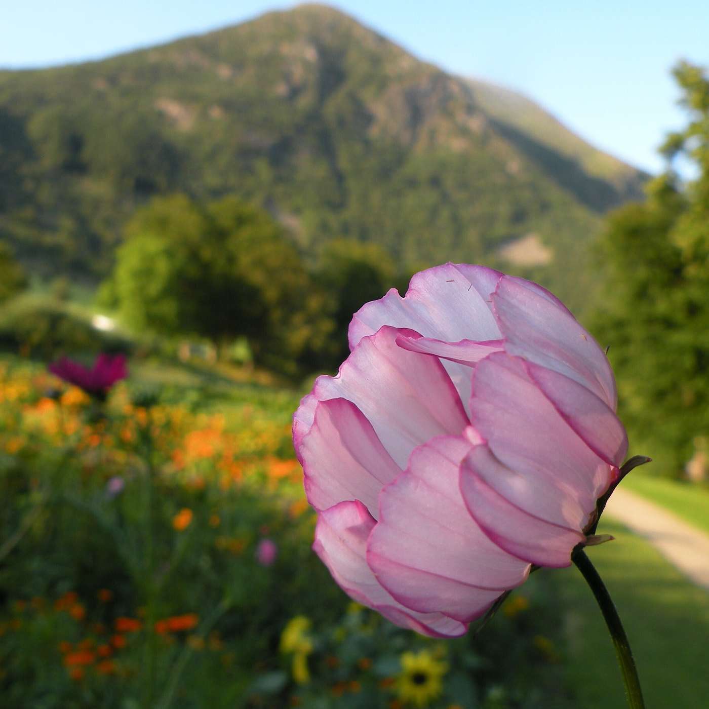 Karmels hage på St Rita Radio
