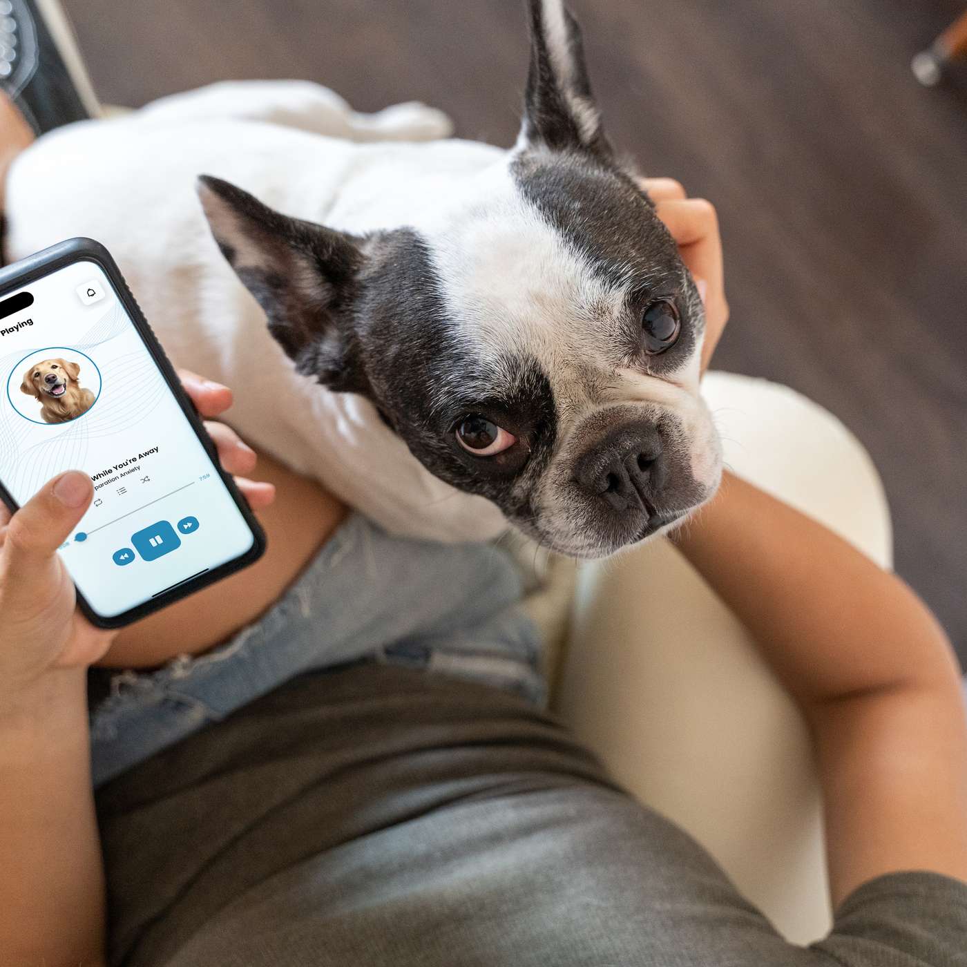 Reimagining Preventive Care: At-Home Tools That Support Veterinary Wellness
