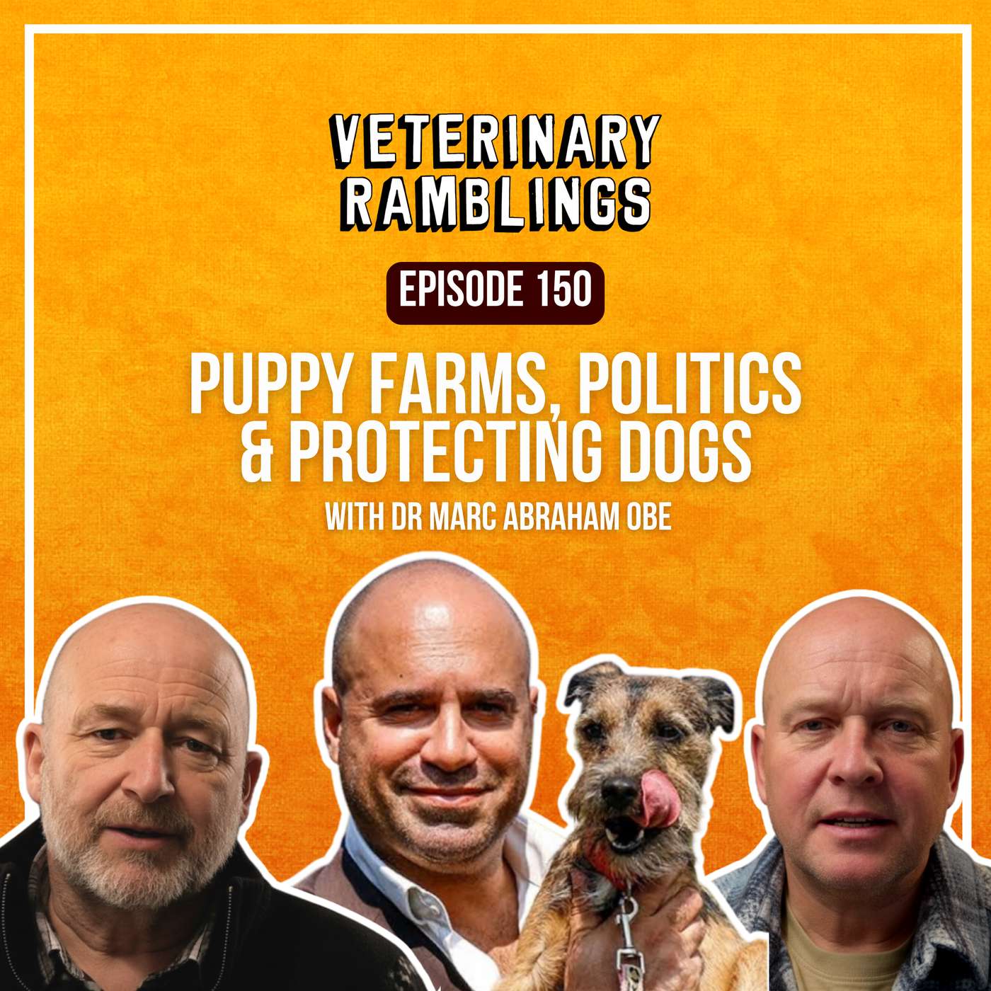 Puppy Farms, Politics & Protecting Dogs with Dr. Marc Abraham episode artwork