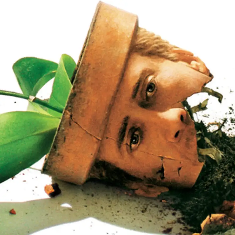 Our Favorite Films (Part 1)