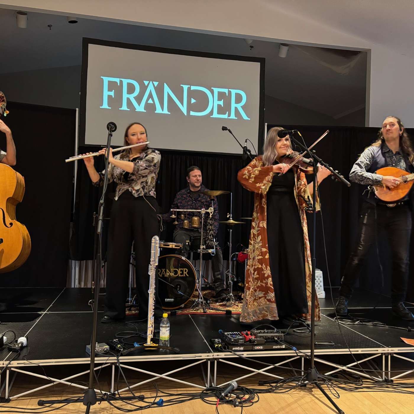 Frander: Trad Folk Meets Progressive Rock in This Swedish Swirl