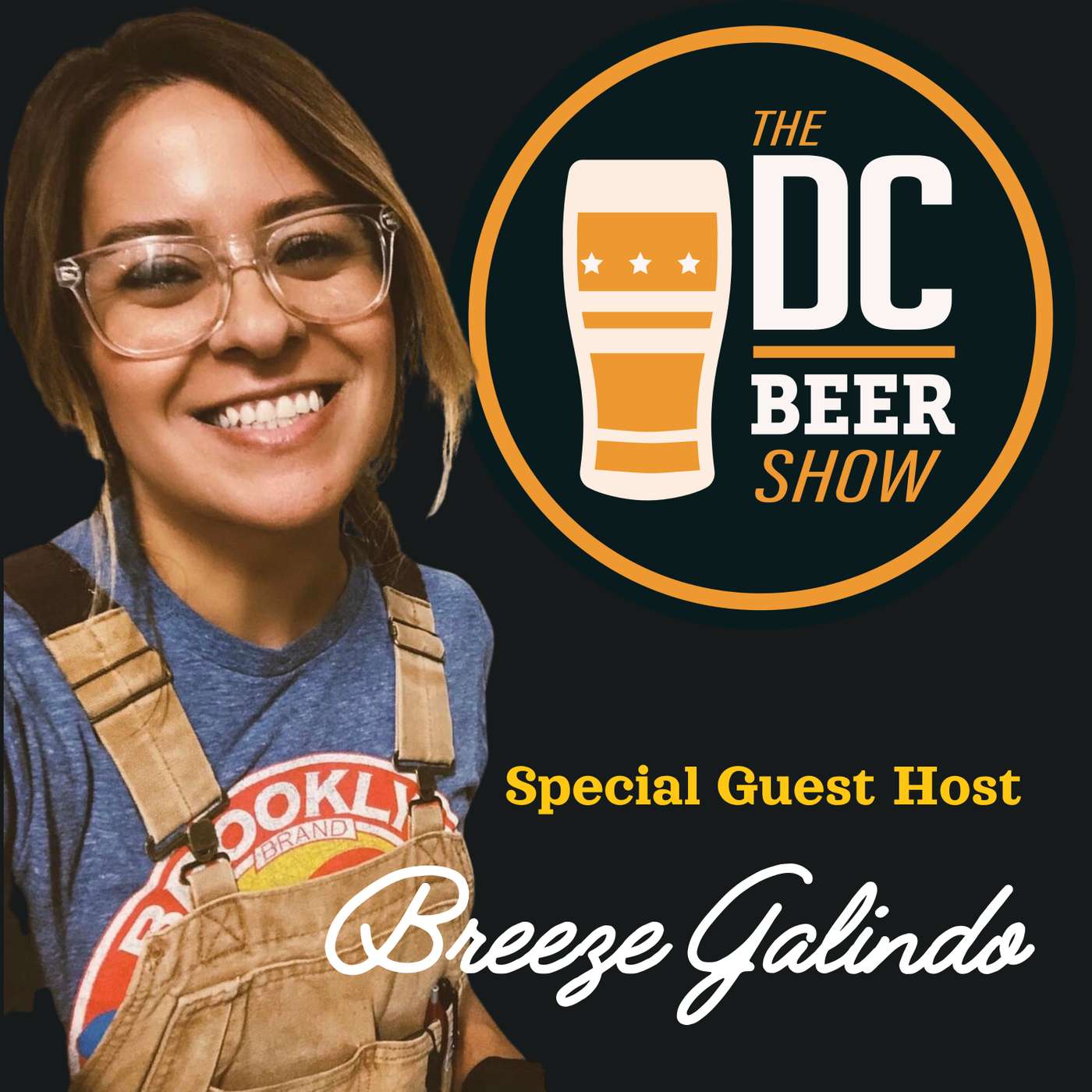 The DC Beer Show