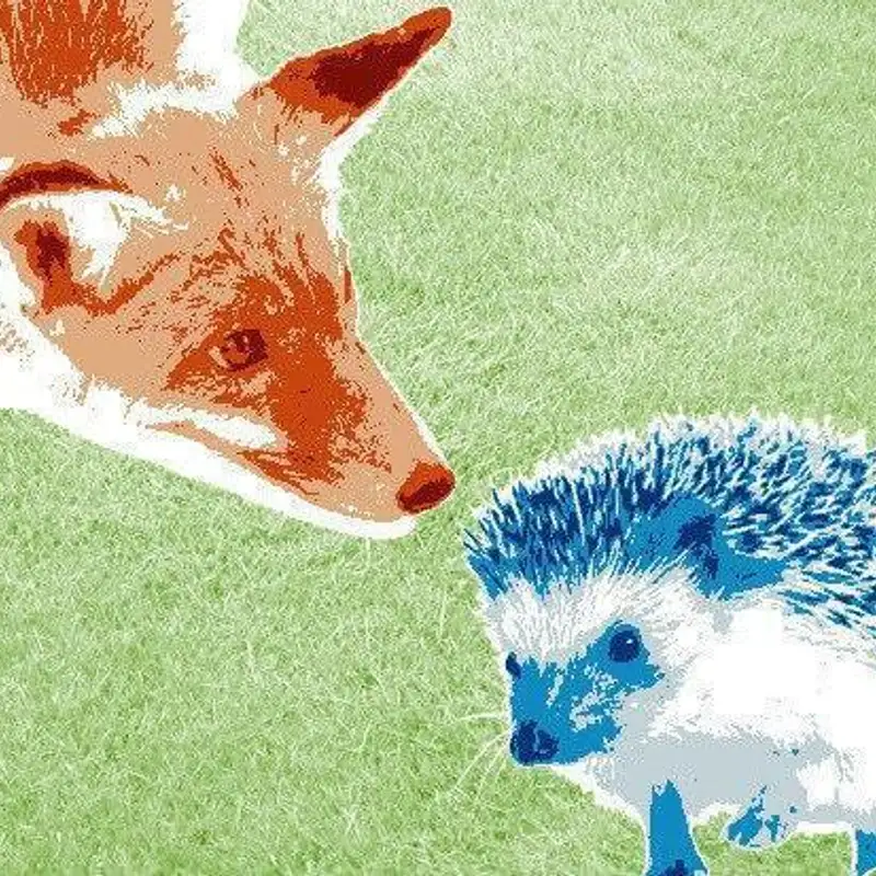 Hedgehogs & Foxes