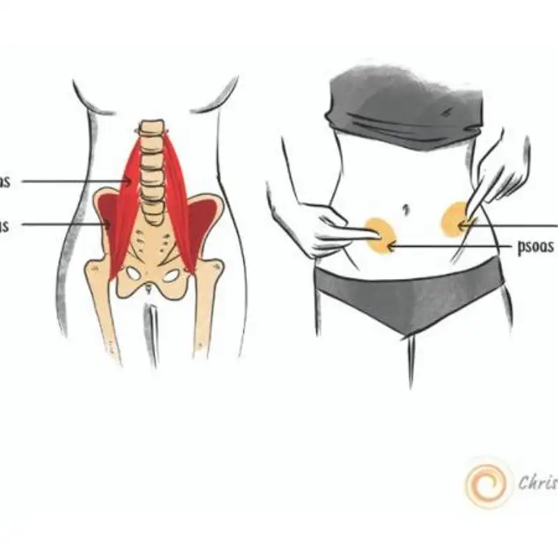 Tense Mind, Tense Hips with Christine Koth