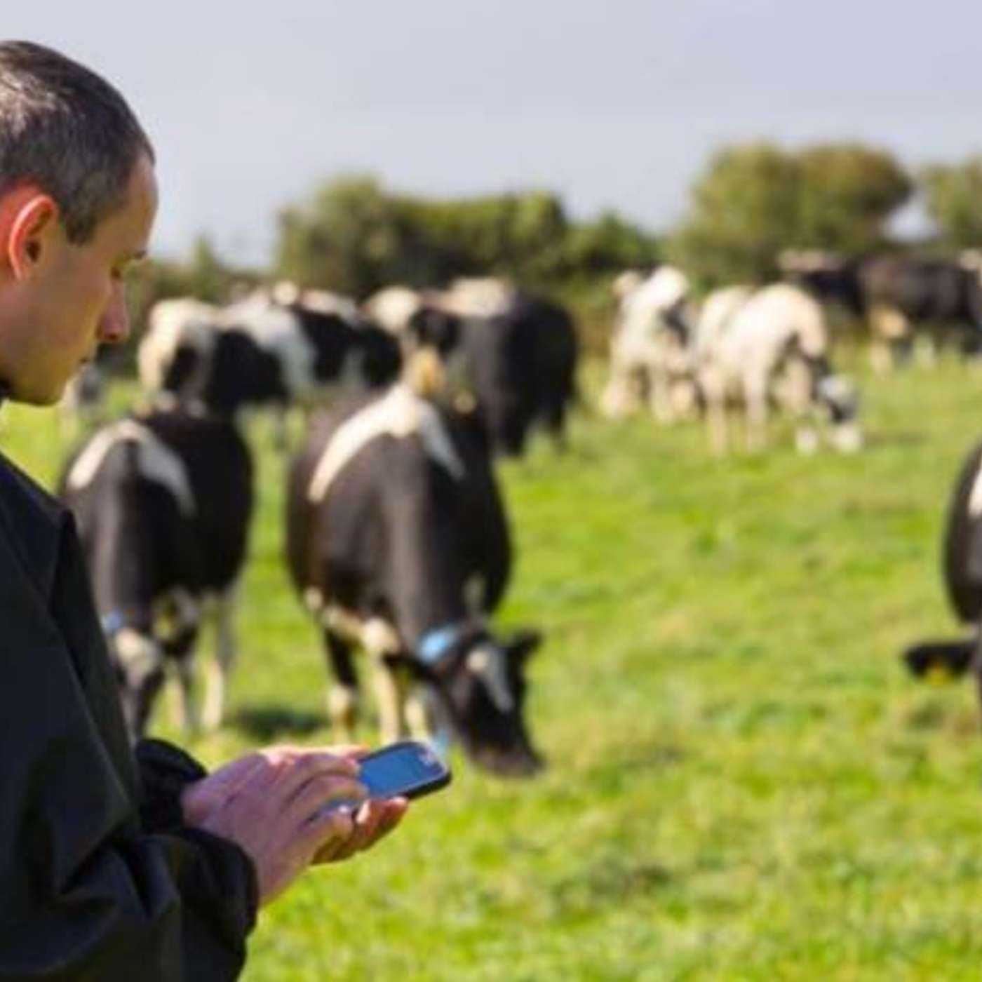 Marketing Expert Padraig O’Connor Shares His Journey to the Top