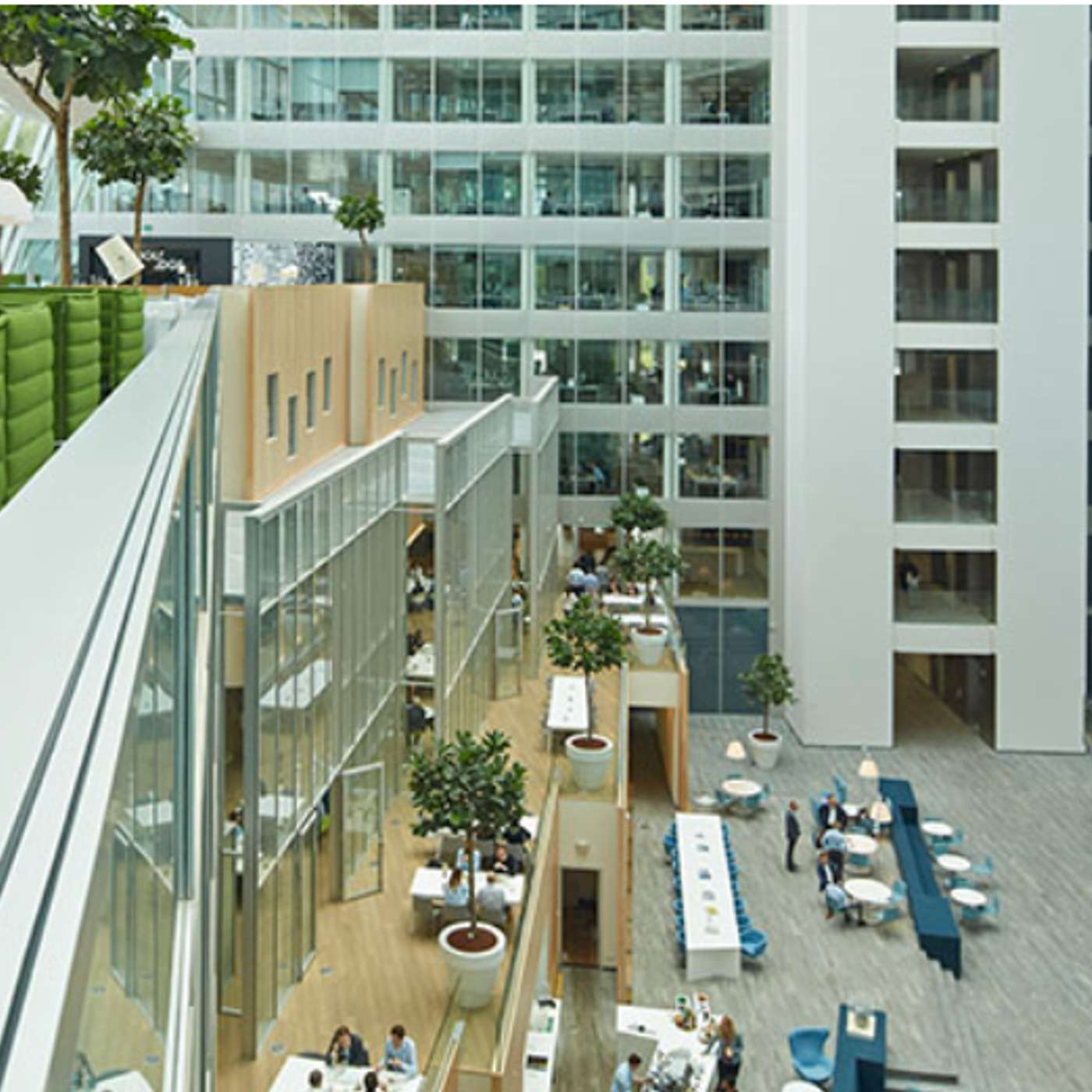 Signify Academy: Light that connects [podcasts]