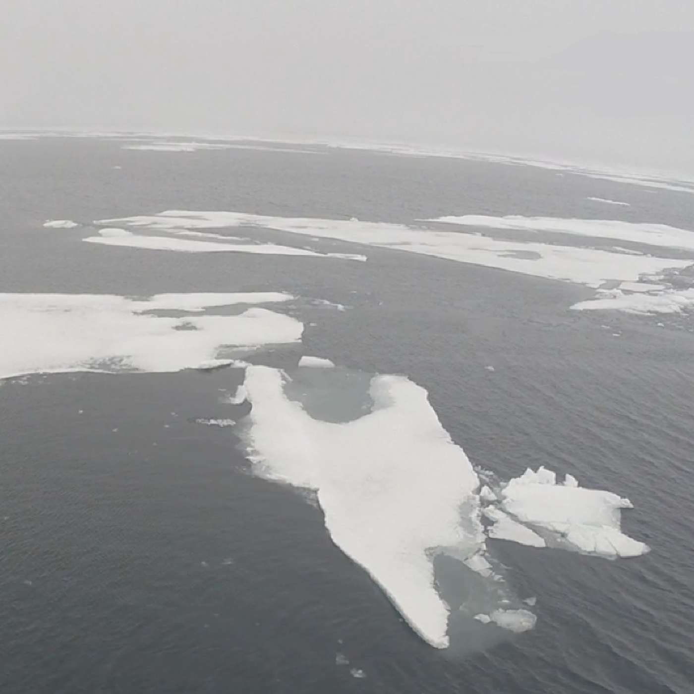 Арктика очень скоро может остаться без льда