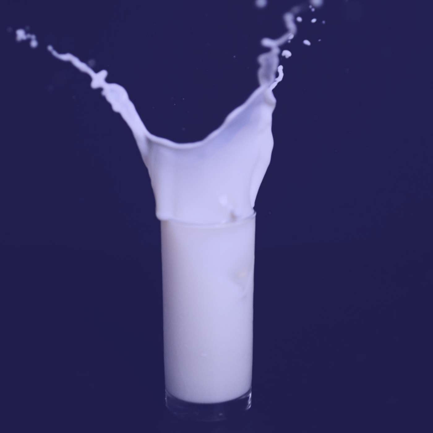 #372 | The War on Milk