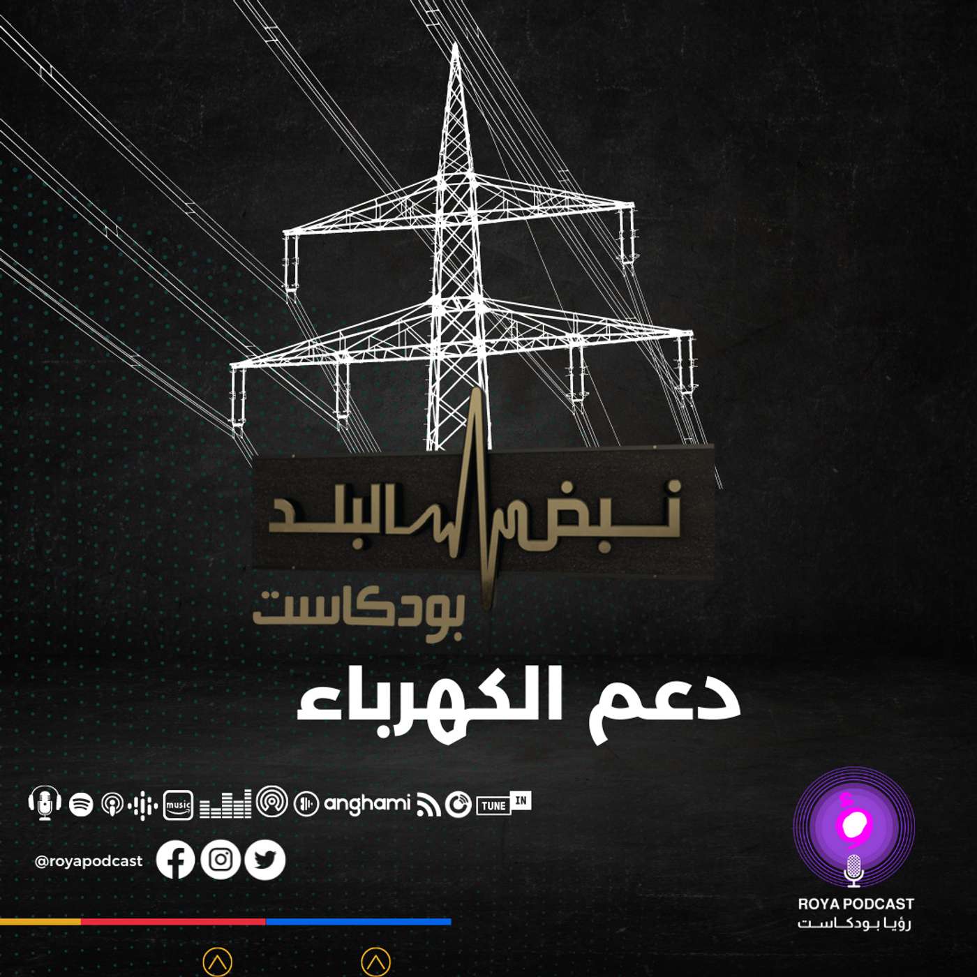 دعم الكهرباء