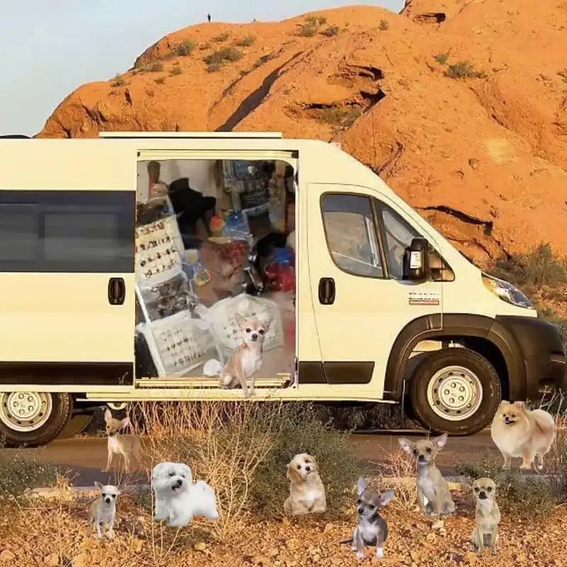 Life, Liberty, and the Pursuit of Homelessness 