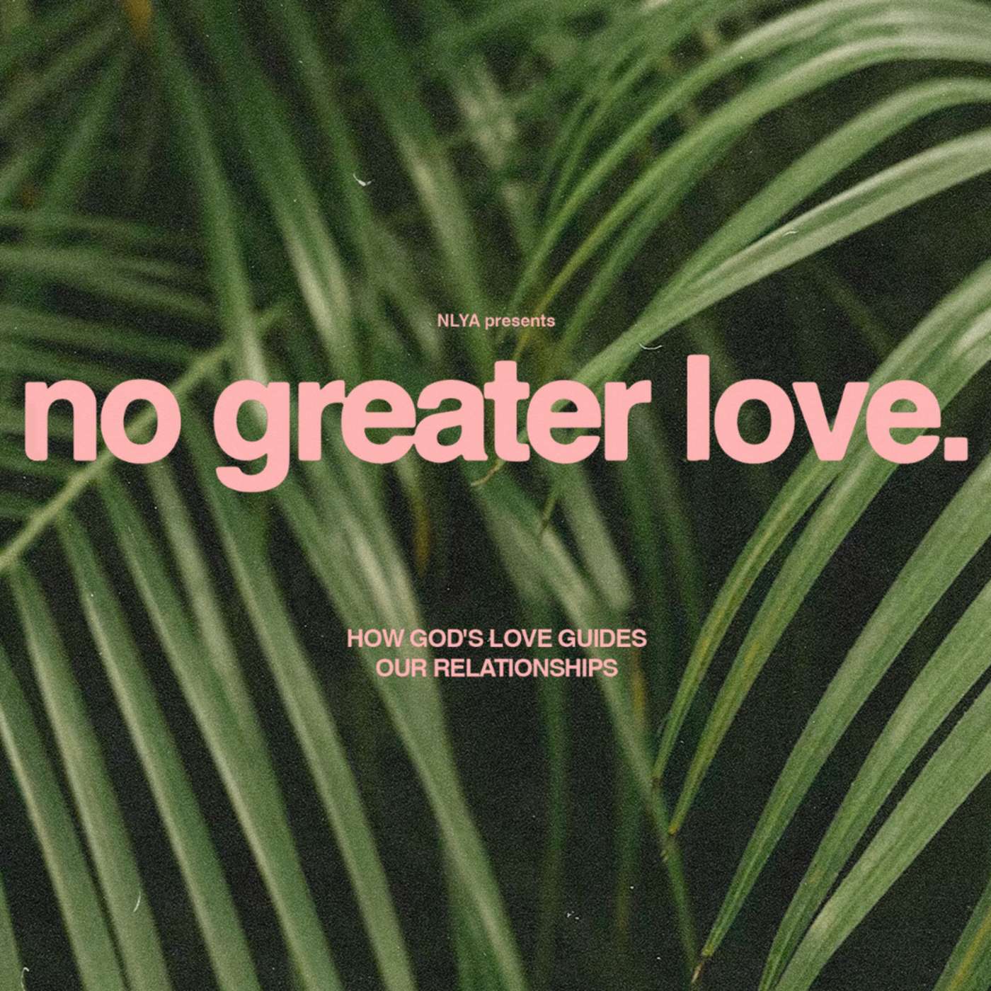 Q + A | No greater Love | Week 8 episode artwork