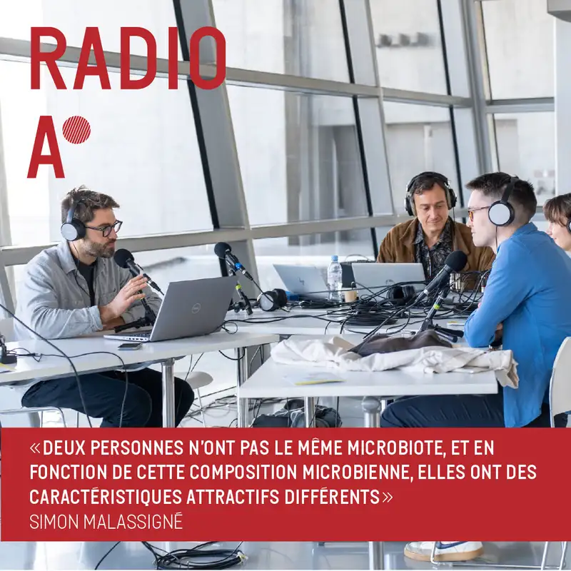 Qu'est ce qui attire les moustiques ? 