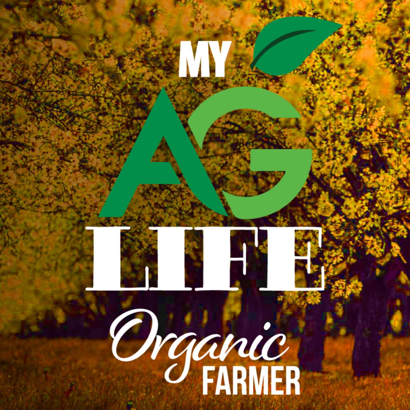 Biochar: The Permanent Compost - Organic Farmer June/July 2020