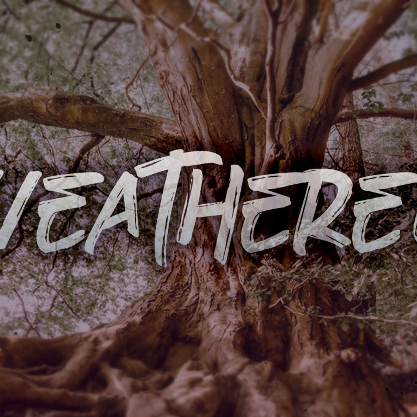 Weathered - Todd Blanton episode artwork