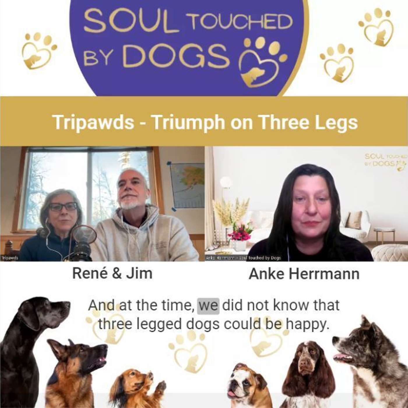 Tripawds - Triumph on Three Legs