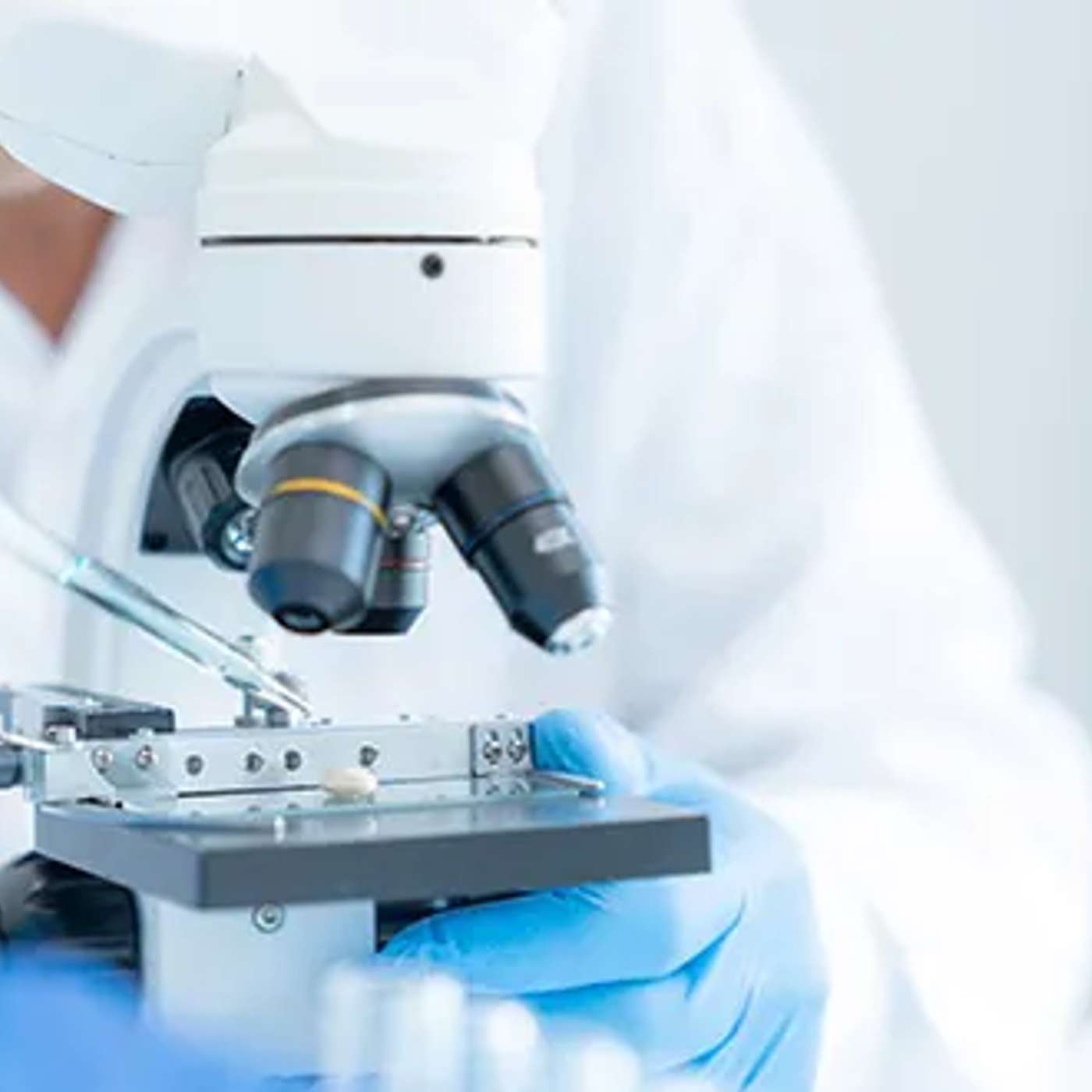 Obesity Raises Severe Infection Risk, Speed Training Cuts Dementia Risk, AMA Launches Vaccine Safety Review, Notre Dame Study Reveals Brain Injury Insights, and more...