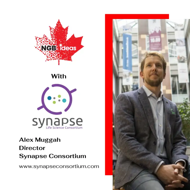 S1.E10: Alex Muggah | Synapse Consortium