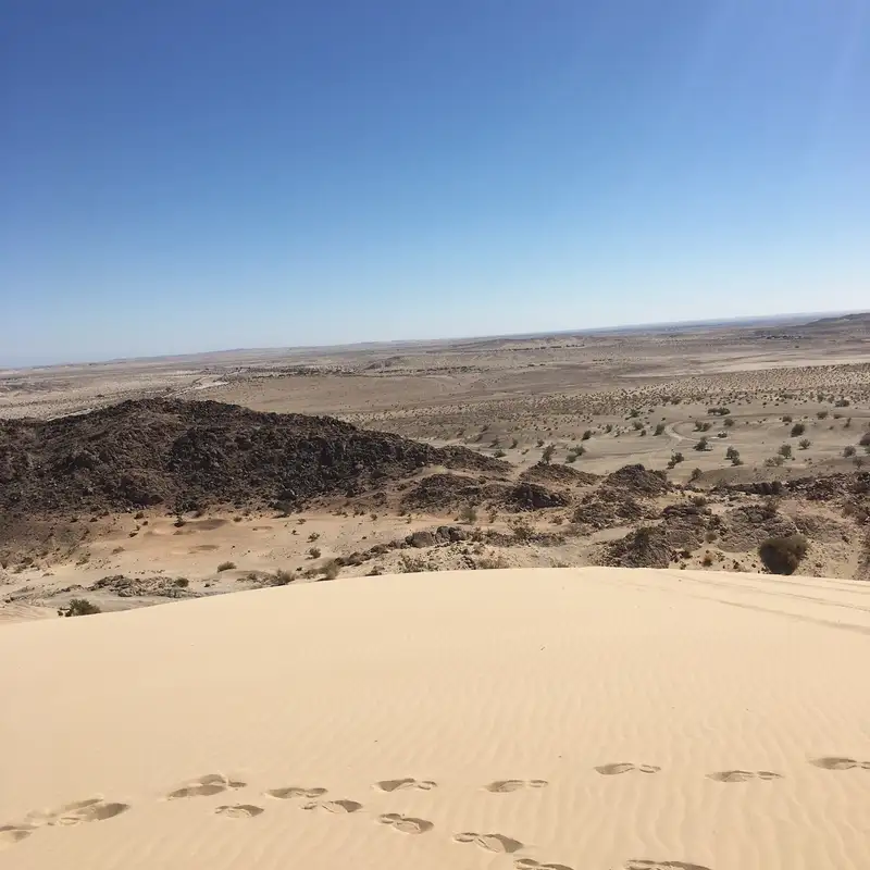 The Diversity of Equality: Power, Culture & the Paradox of Inclusion