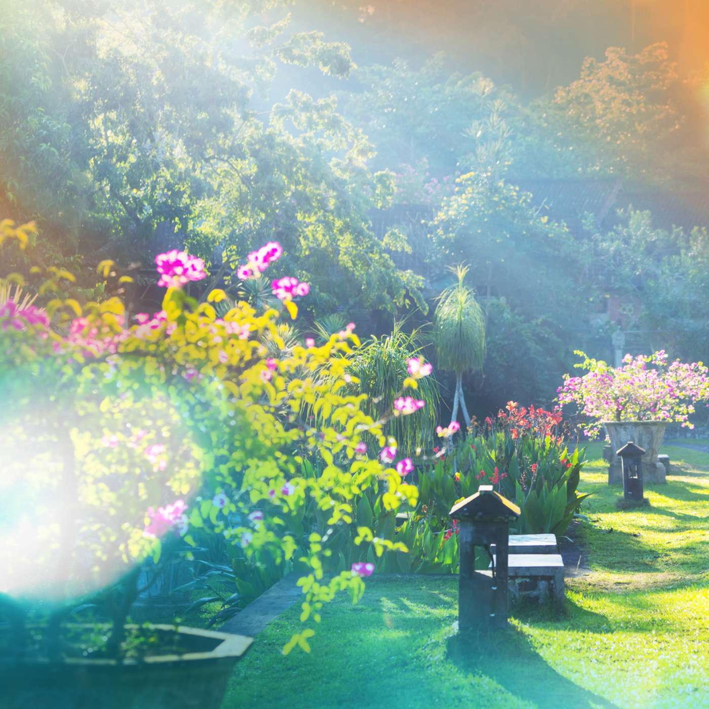 Karmels hage - Trosbekjennelsen 38: Lammets nattverd