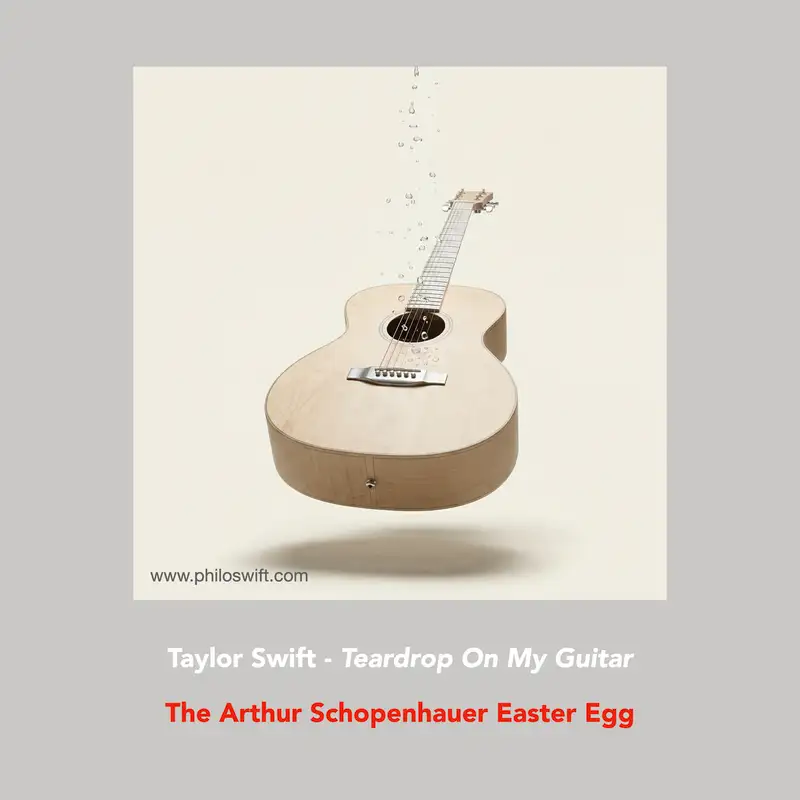 Taylor Swift : Teardrops On My Guitar - The Schopenhauer Easter Egg