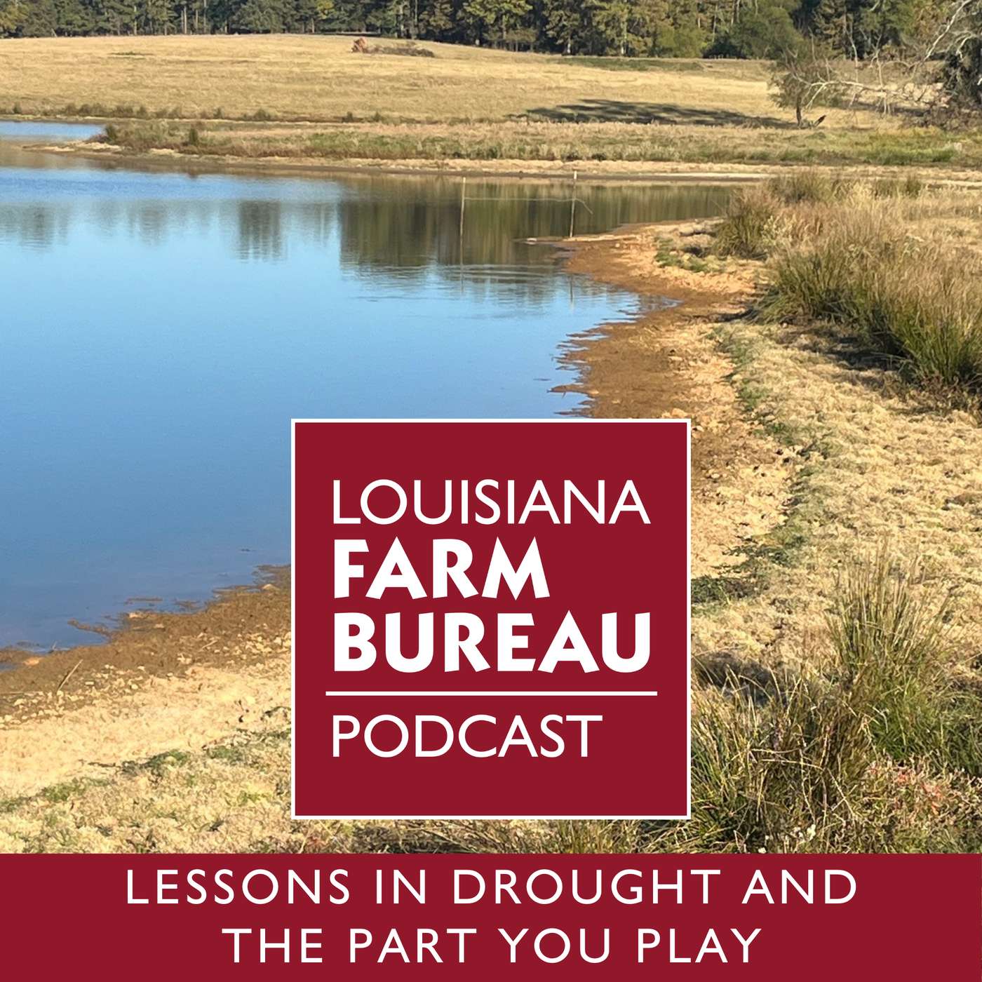 Lessons In Drought And The Part You Play episode artwork