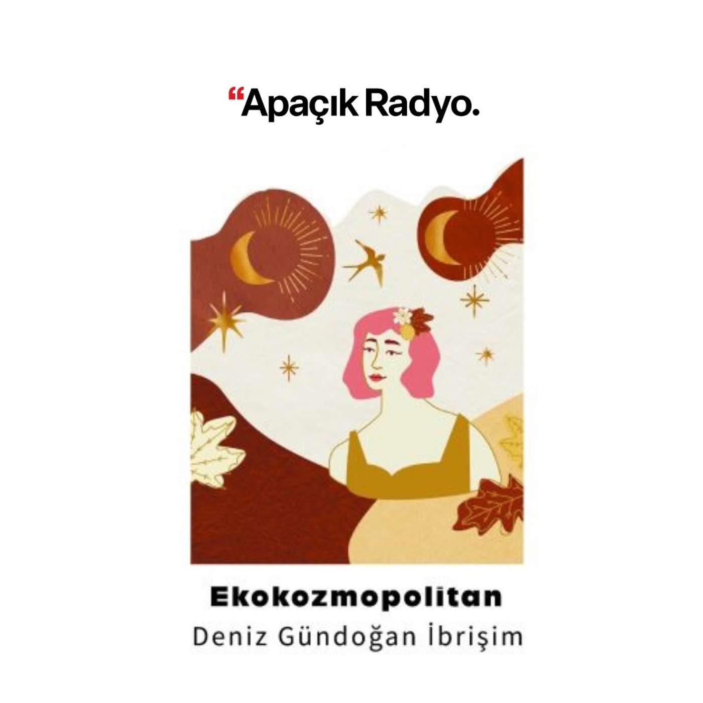 Virginia Woolf'un radyo merakı, ses ve teknoloji üzerine düşünceleri episode artwork