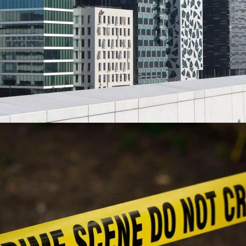 Comparing Oslo's architecture & The assault of Alison Botha.