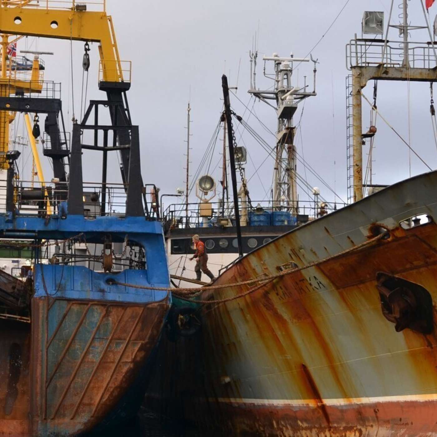 Значительные участки дна Арктики повреждены тралами