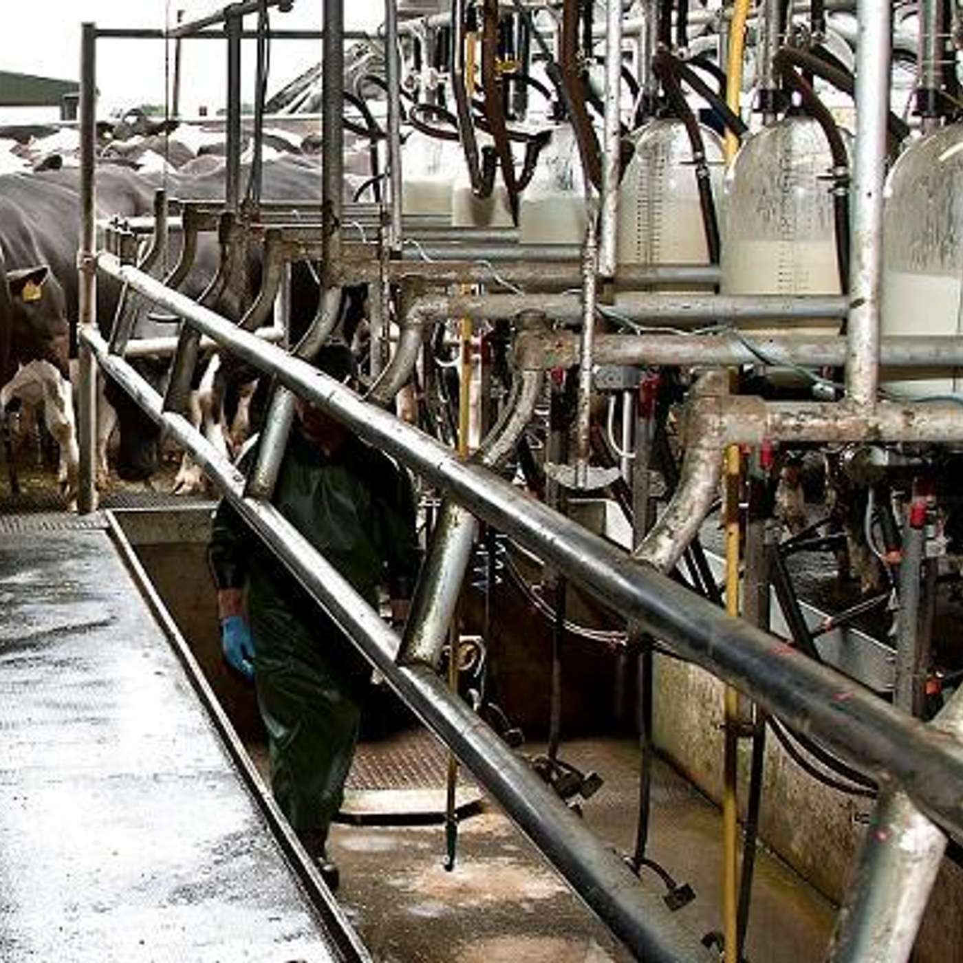 Milk residues and how to avoid them