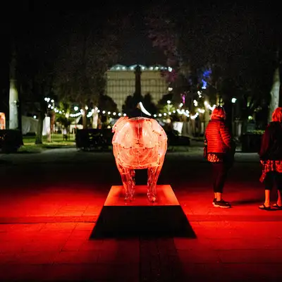 Seth Honnor (Kaleider)