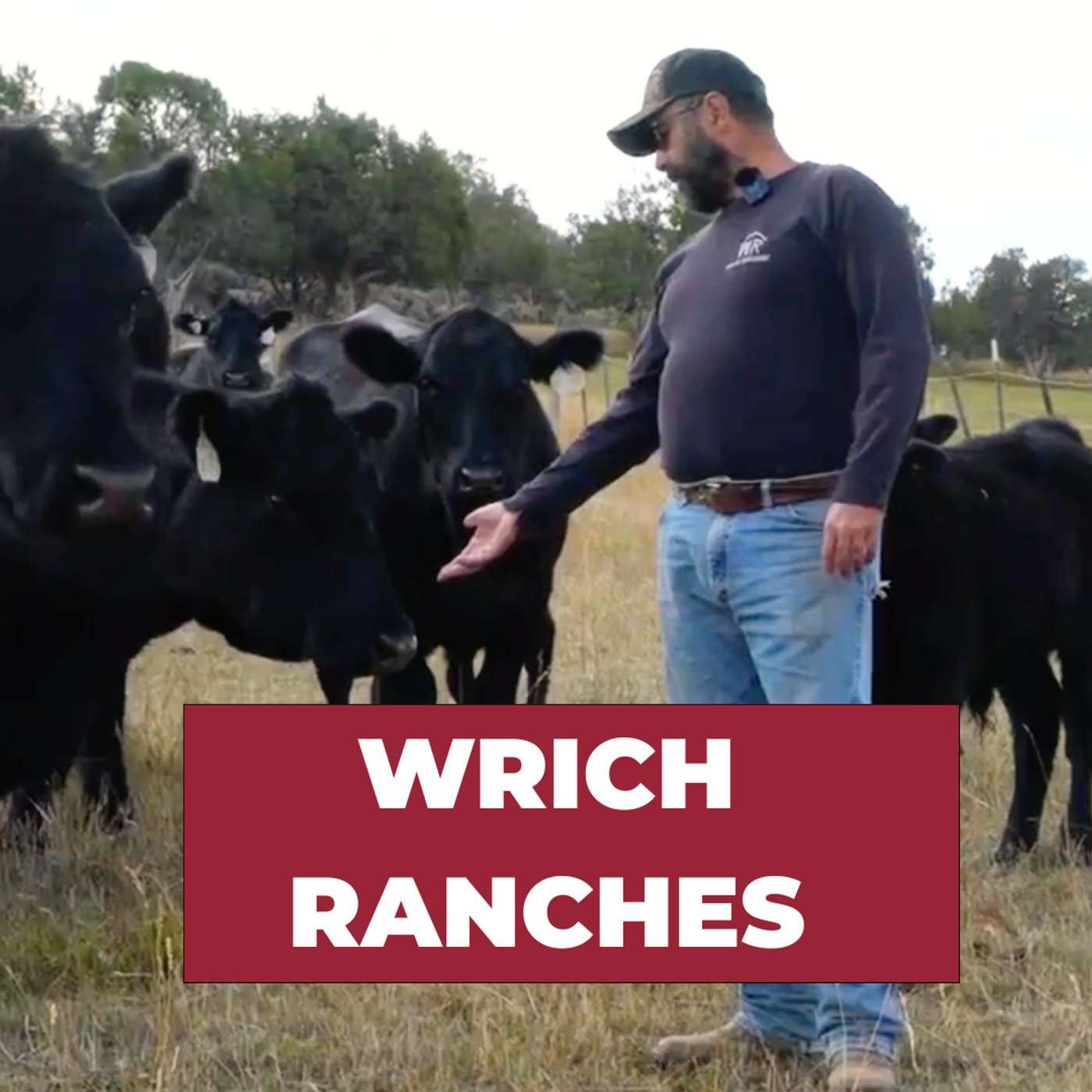 Animal Welfare Ranching, Direct-To-Consumer Beef, & Financial Viability Through Diversified Income Streams (Live Farm Tour) - Wrich Ranches | #105