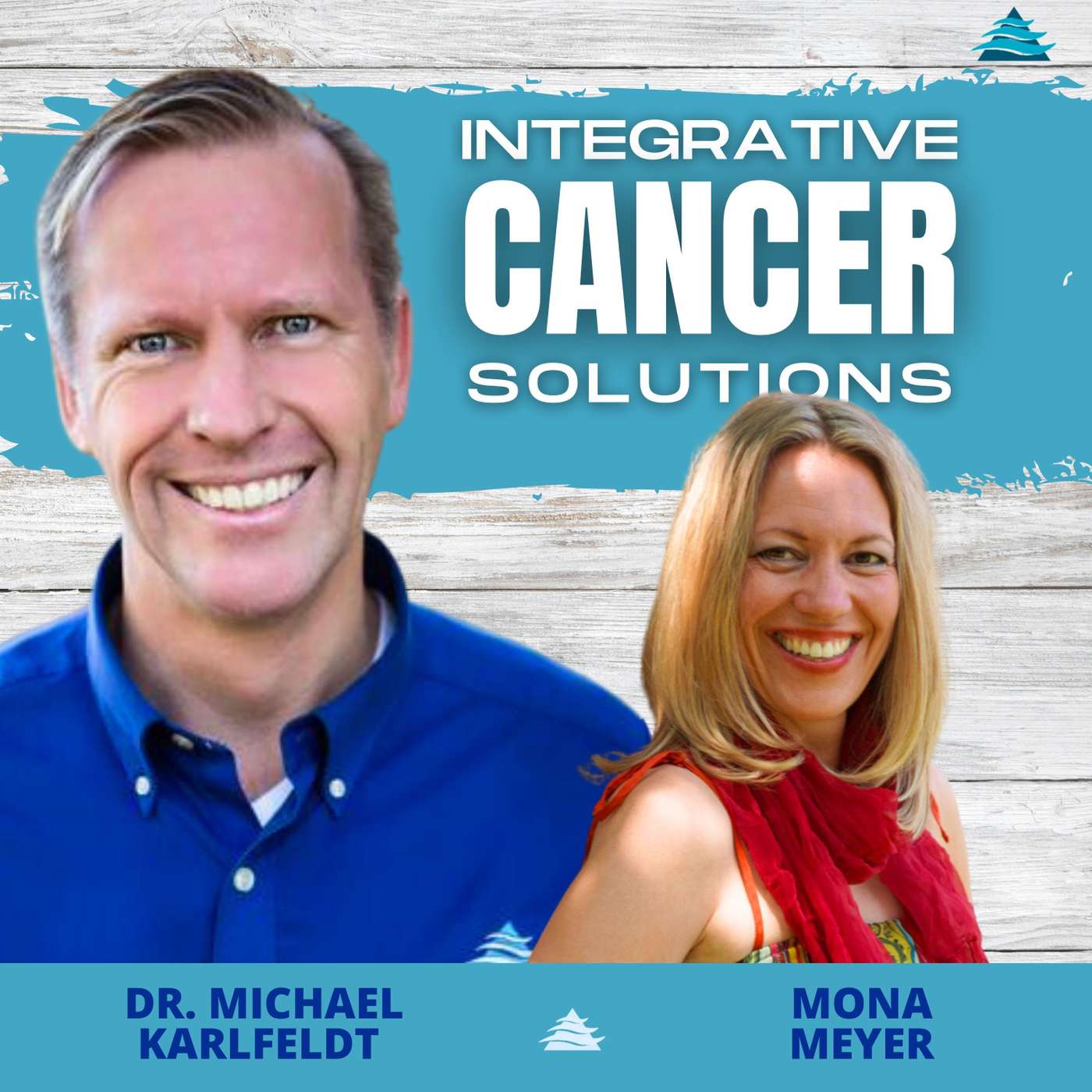 Unveiling the Transformative Power of Energy Medicine in Cancer Care with Dr. Mona Meyer episode artwork