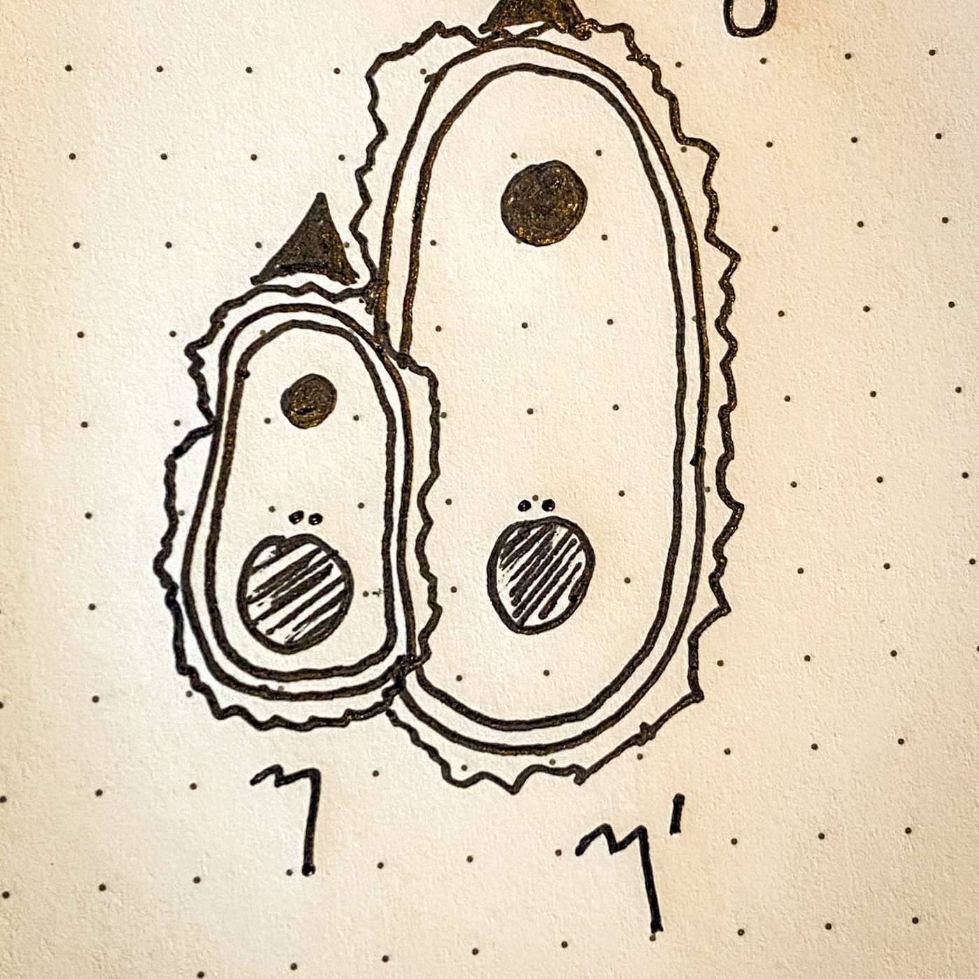 The Field Guide to Particle Physics