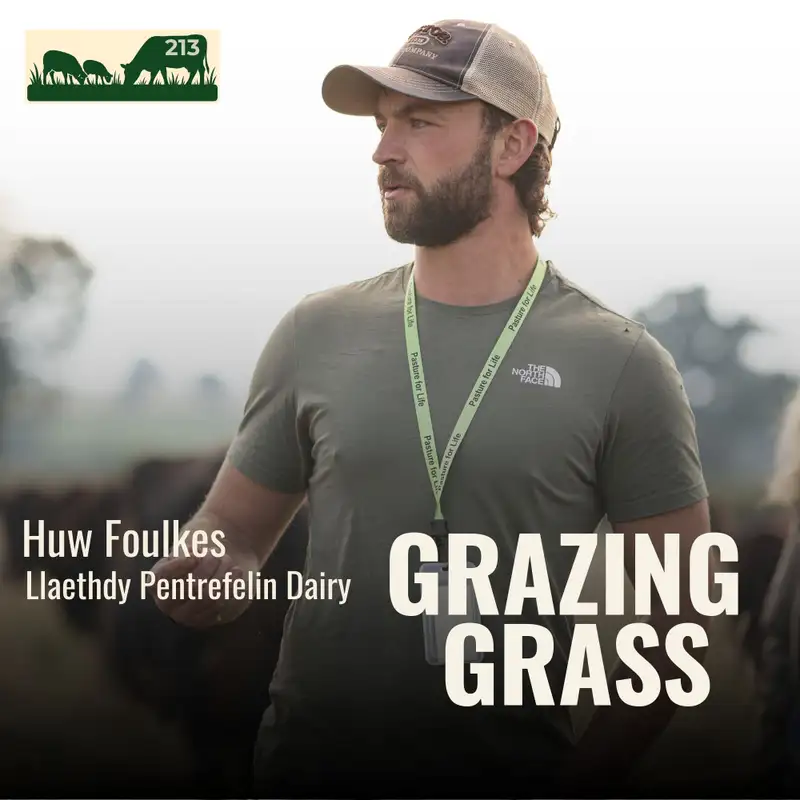 213 | Huw Foulkes, North Wales | Swimming Against the Current: A Micro Dairy with Red Polls and a Case for Regenerative Farming