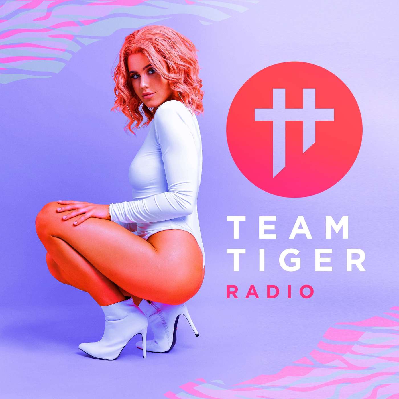 Team Tiger Radio #058 Feat. Zaeden episode artwork