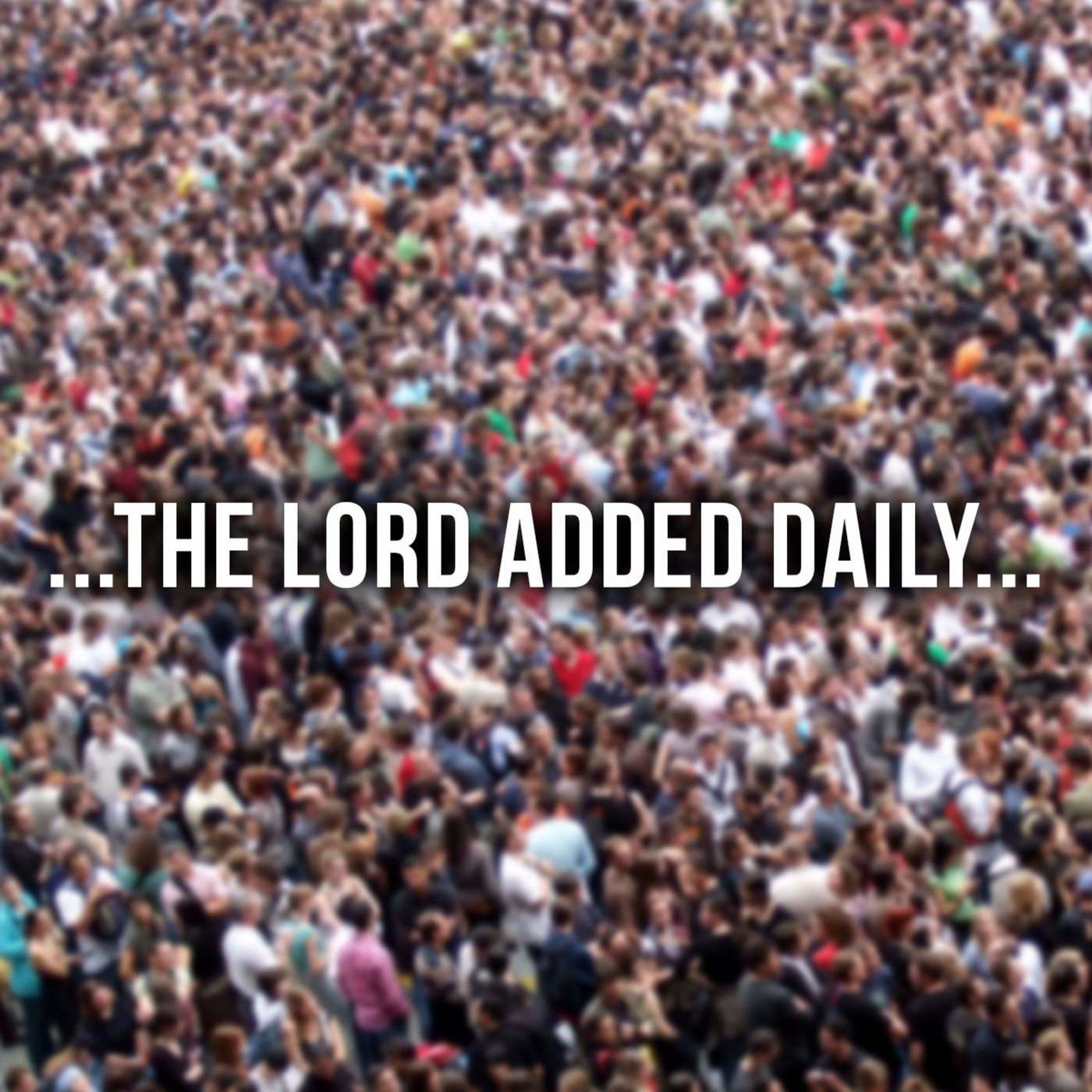The Lord Added Daily | Arne Skagen episode artwork
