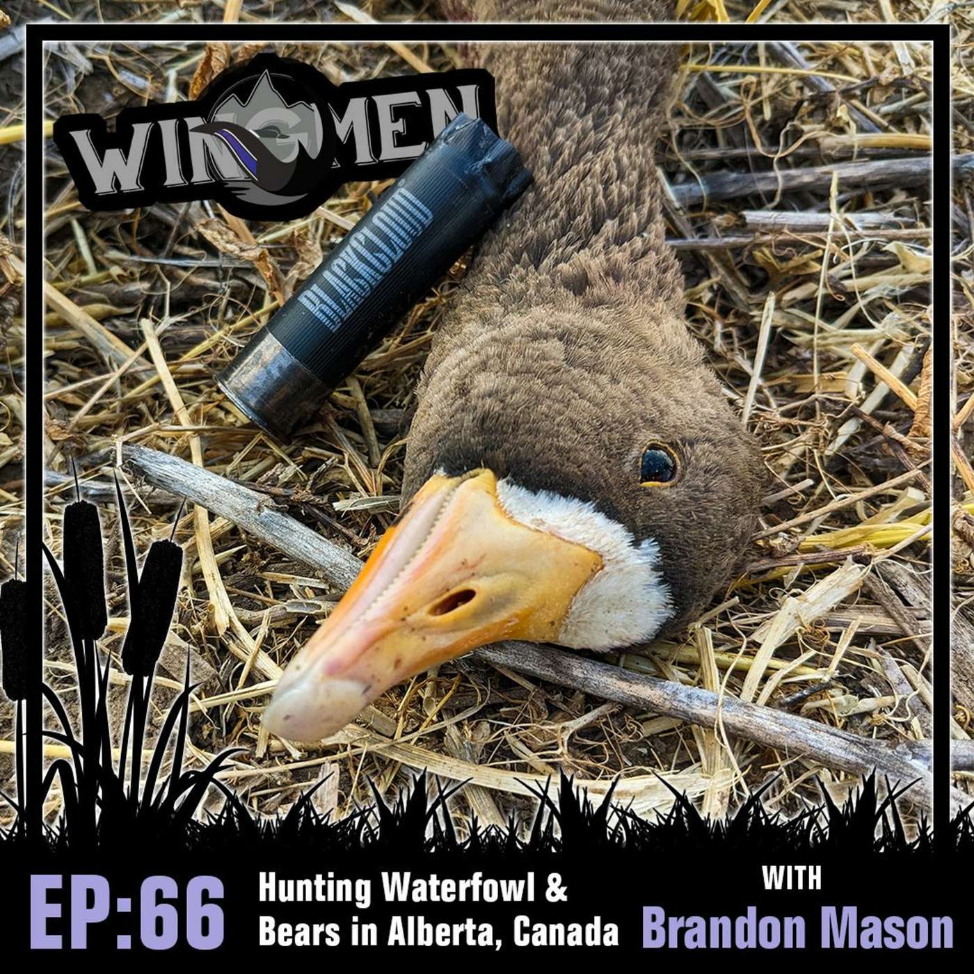 Wingmen Podcast EP 66: Brandon Mason - Hunting Waterfowl & Bears In Alberta, Canada episode artwork