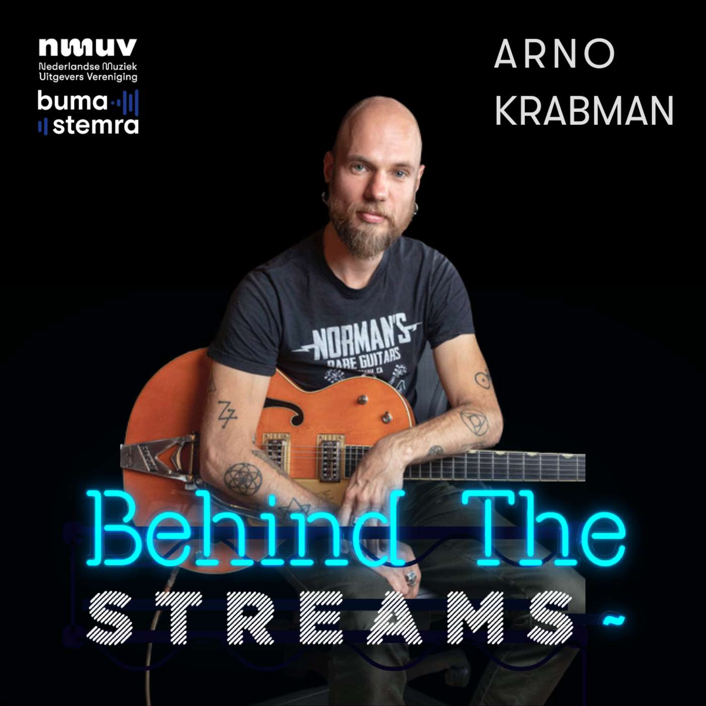 Behind The Streams Podcast