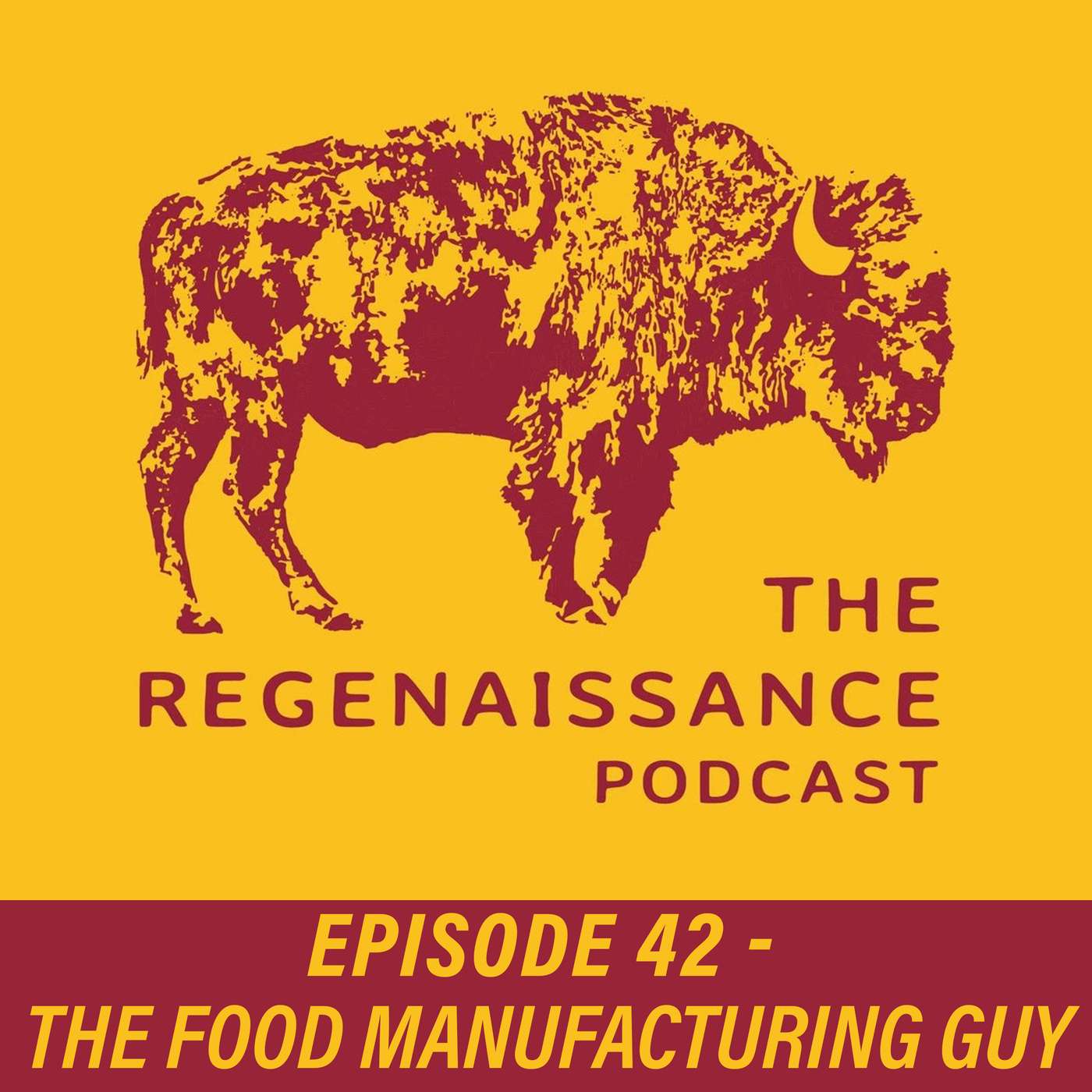 The Regenaissance Podcast