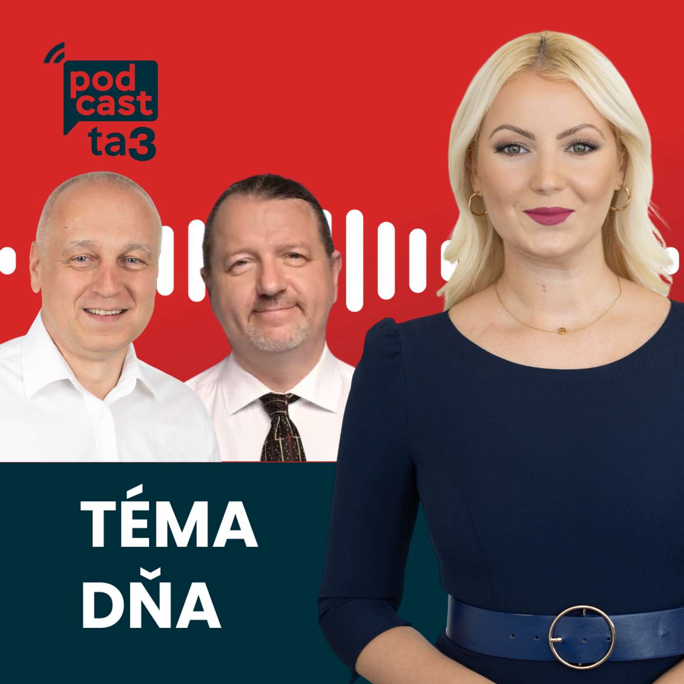 Téma dňa: Karol Janas vs. Branislav Škripek episode artwork