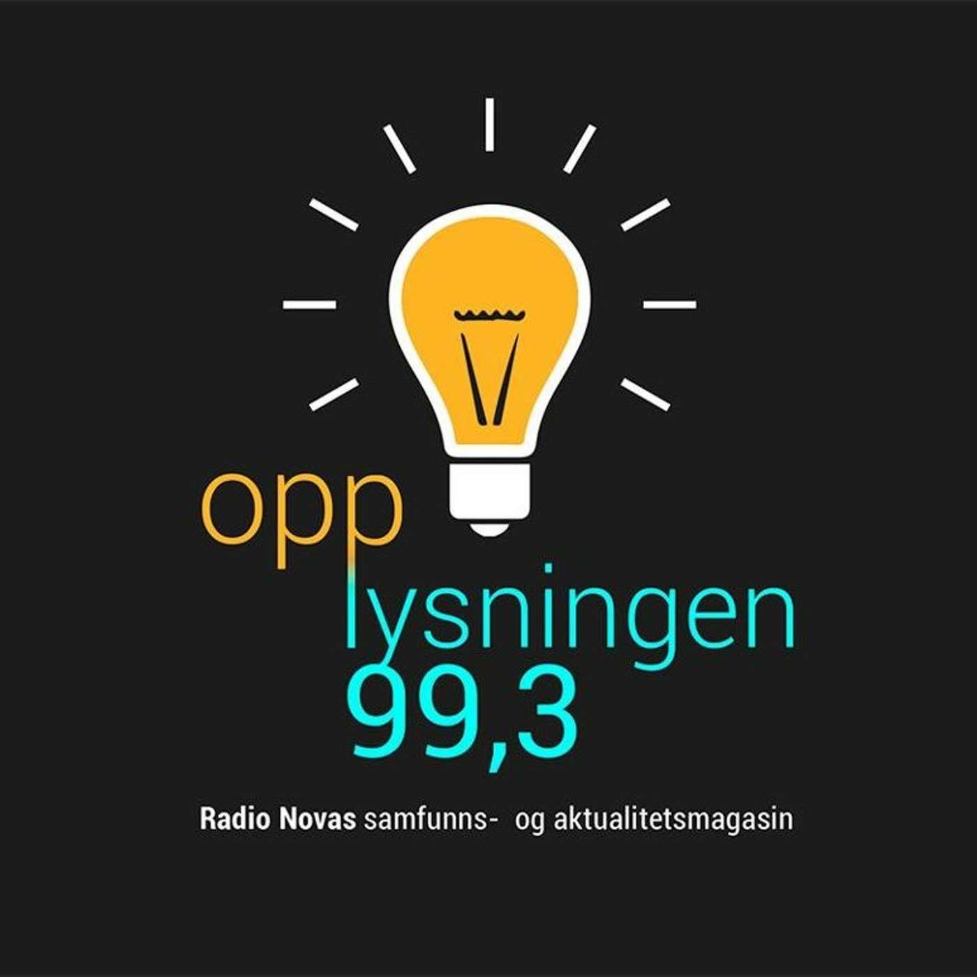 Er nordmenn gode i engelsk? Språkekspert svarer! episode artwork