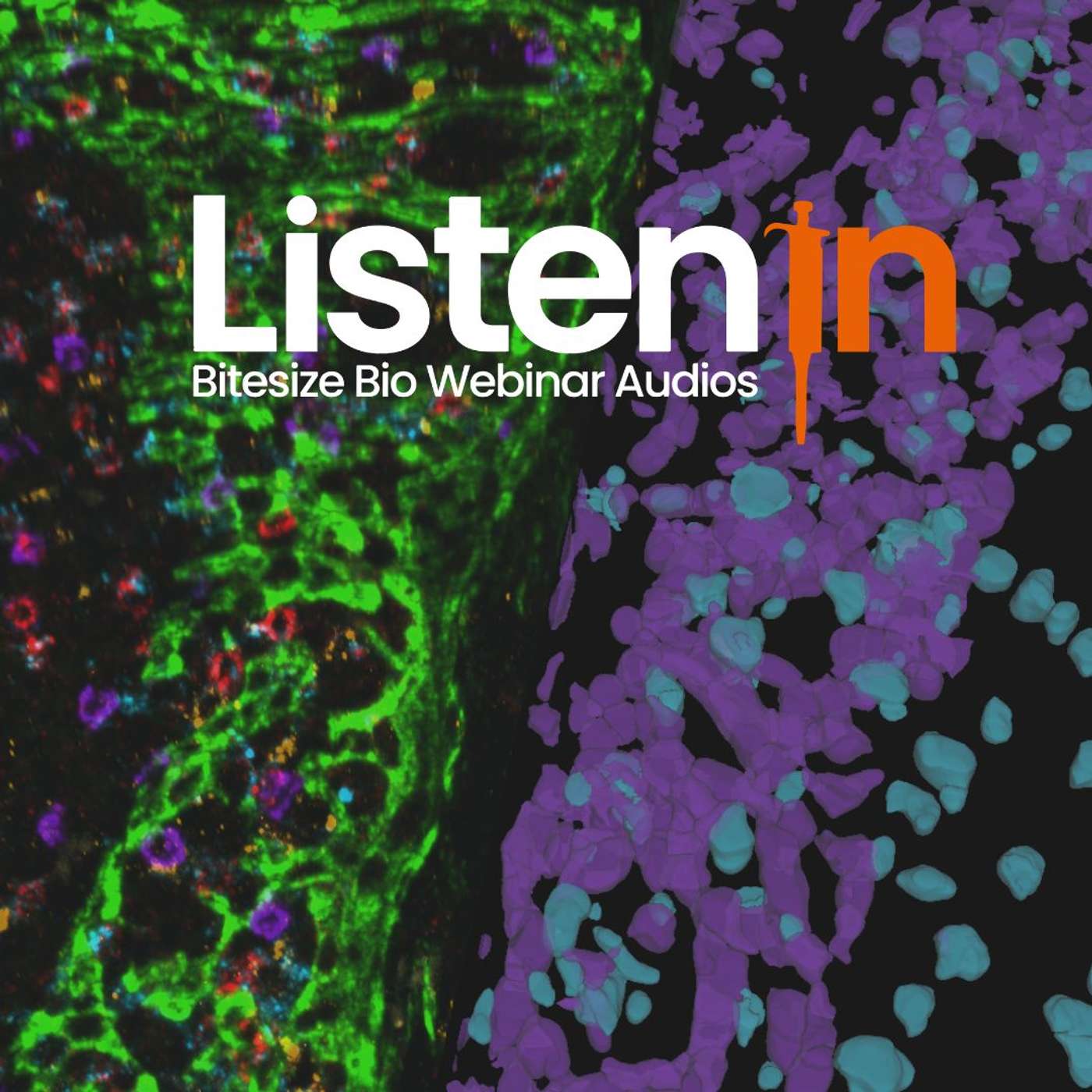 Enhancing 3D Spatial Biology with AI: Simplified Insights for All Enhancing 3D Spatial Biology with AI: Simplified Insights for All