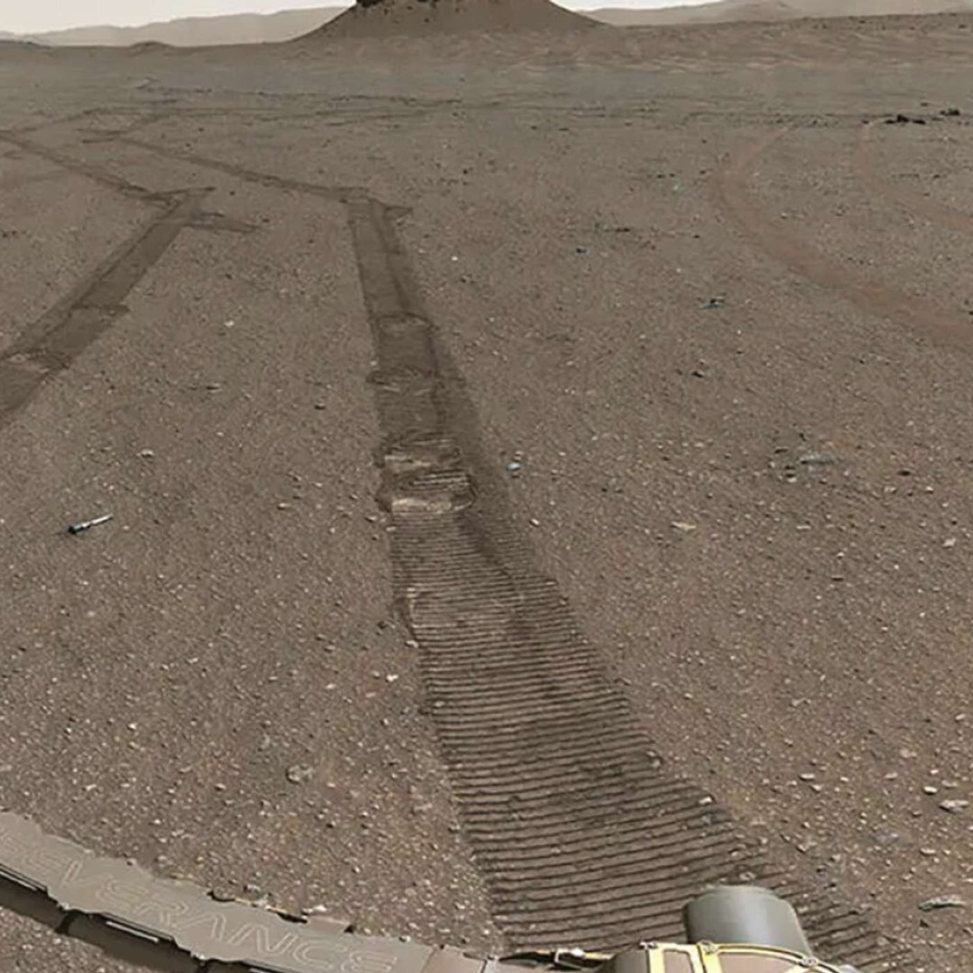 NASA Reveals Mars Sample Return Plans, Research Sheds Light on Lung Cancer, Weak Interactions Drive Cell Recycling, Elderberry Juice Benefits Gut Health, and more...